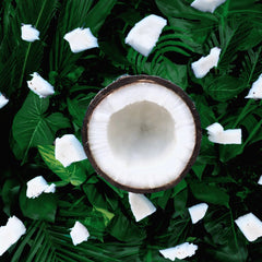 Collection image for: COCONUT OIL