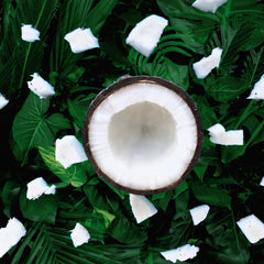 Collection image for: COCONUT OIL
