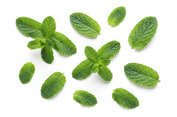 Peppermint