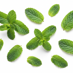 Collection image for: Peppermint