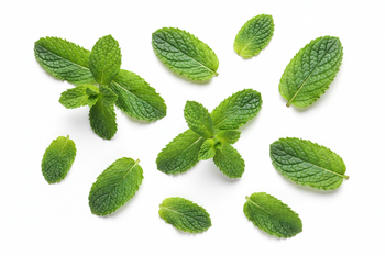 Peppermint