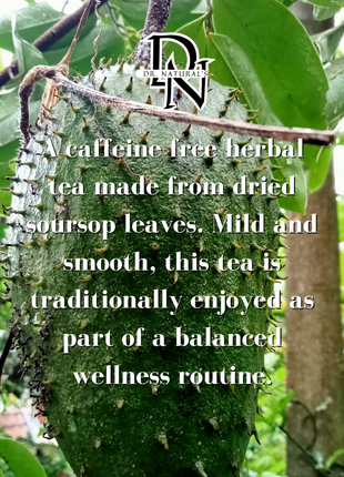 Dr. Natural's Soursop Herbal Tea - 30 Sachets